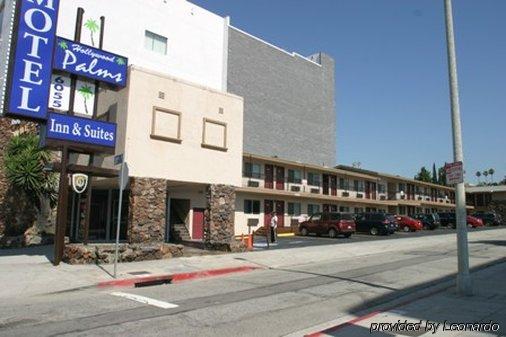 Hollywood Palms & 2*