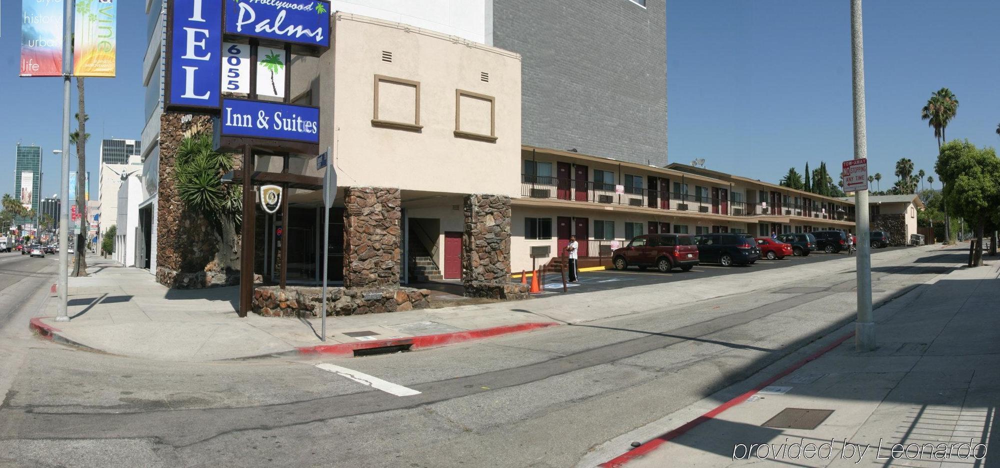 Hollywood Palms & Los Angeles