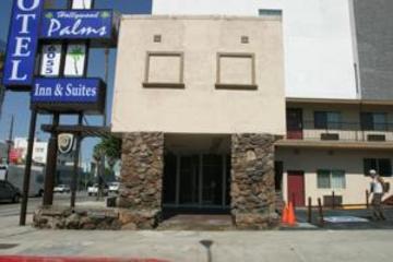 Hollywood Palms &