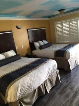 Hollywood Palms &