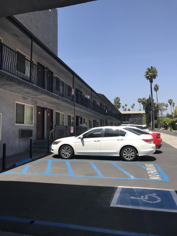 Hollywood Palms &