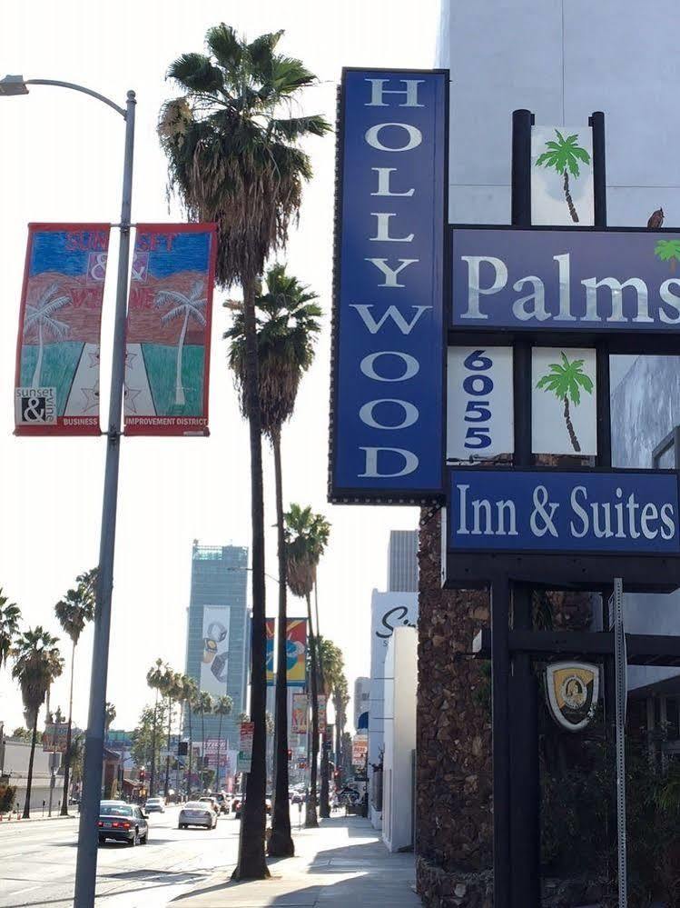 Hollywood Palms & Los Angeles